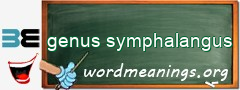 WordMeaning blackboard for genus symphalangus